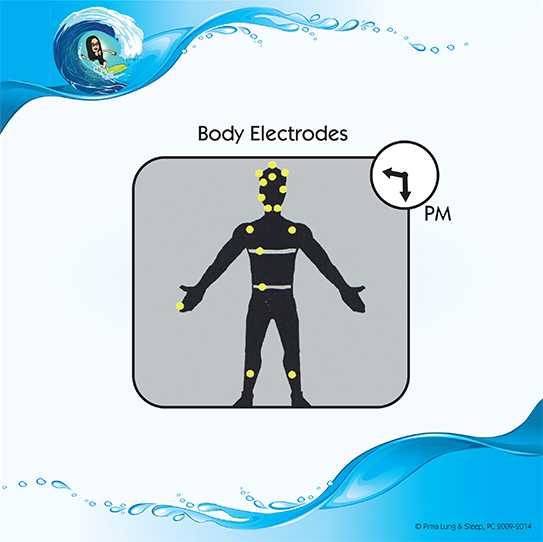 Body Electrodes