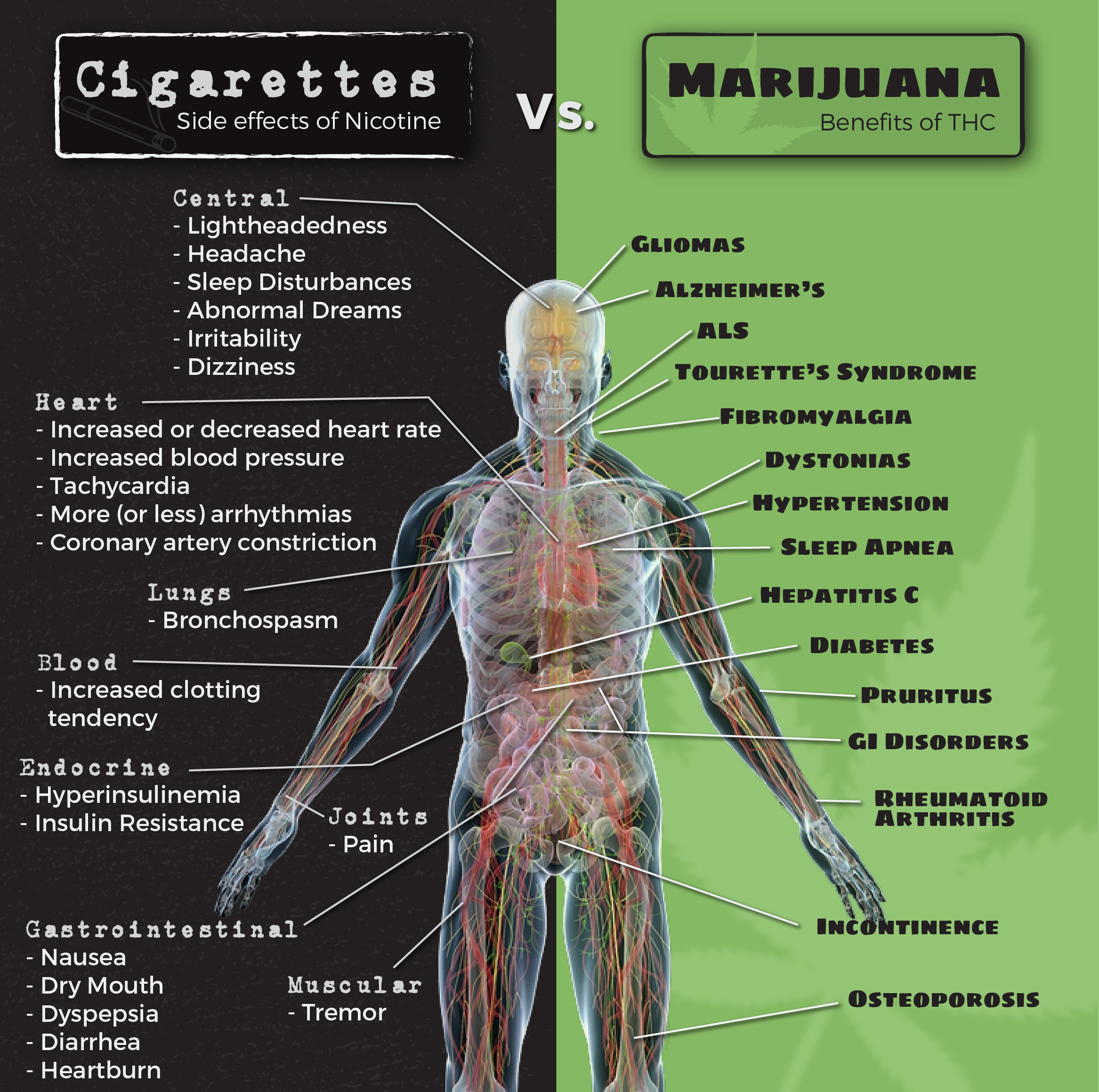 Cigarettes Vs. Marijuana Infographic